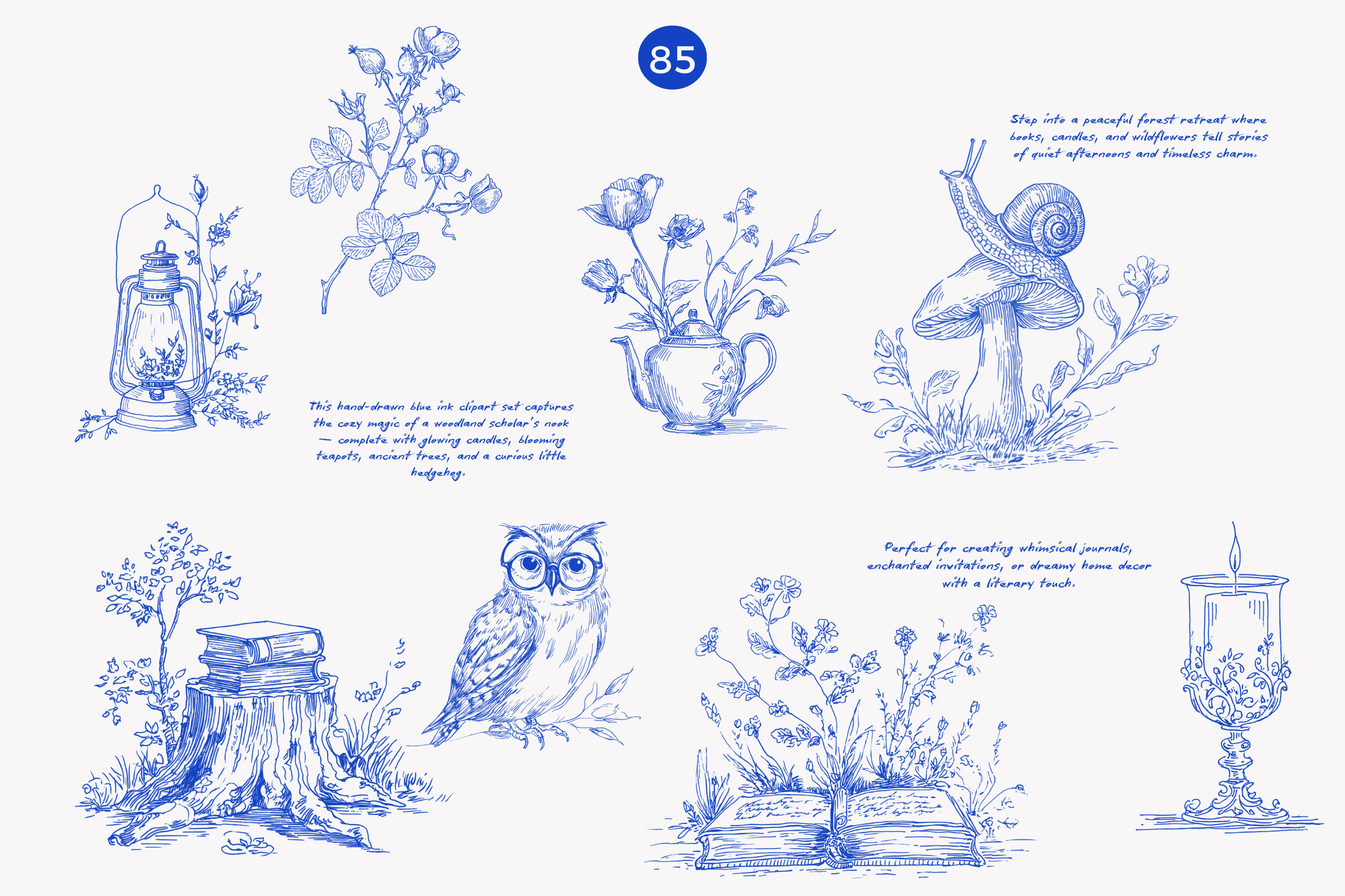 Forest Study Blue Ink Illustration Png - photo 3