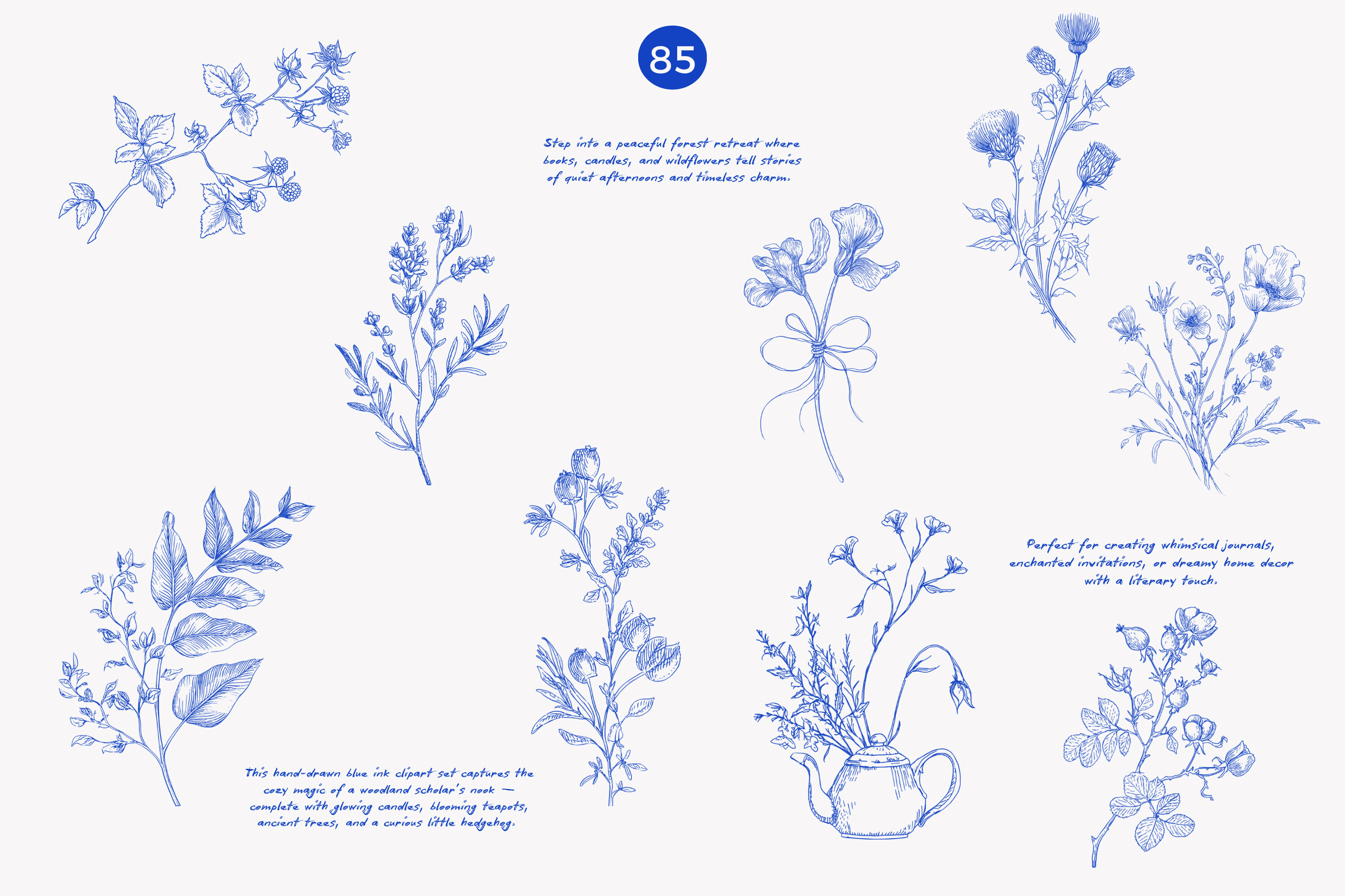 Forest Study Blue Ink Illustration Png - photo 5