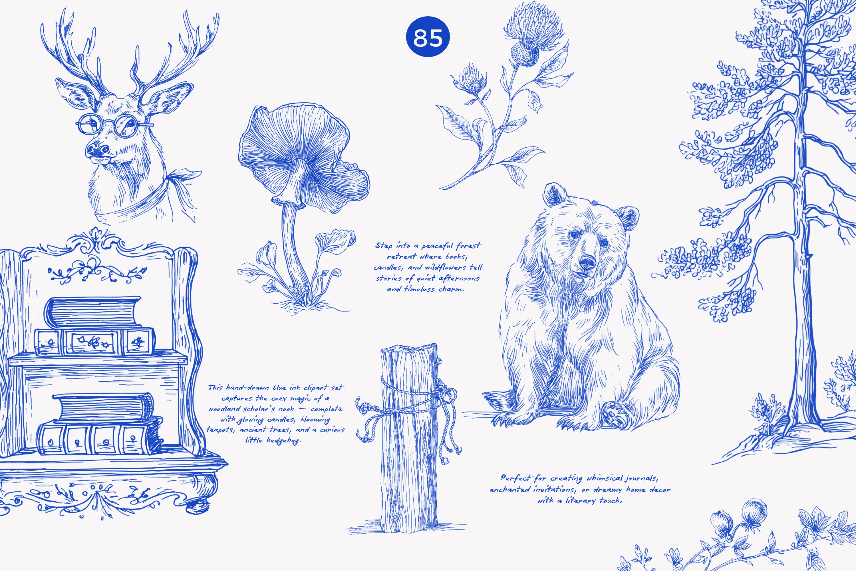 Forest Study Blue Ink Illustration Png - photo 7