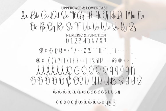 Caligraphy Font - Preview 6