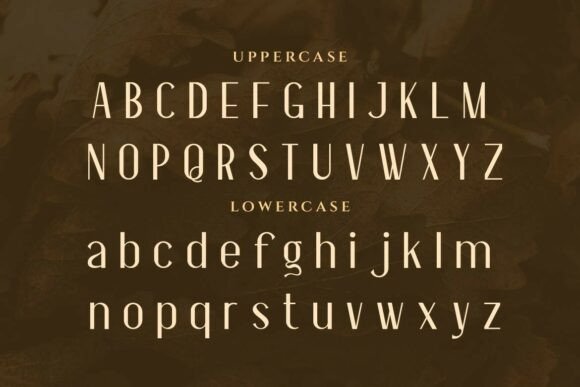 Essentials Font - Preview 1