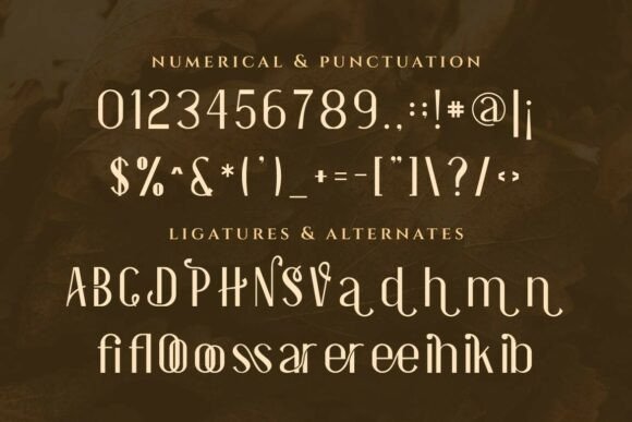Essentials Font - Preview 2