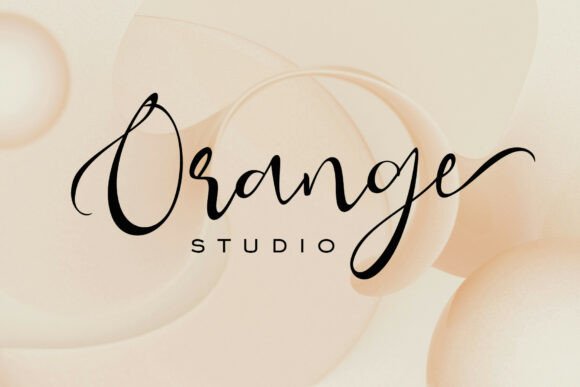 Holigh Seligh Font - Preview 6