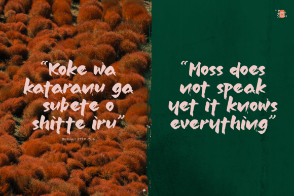 Jinsei Font PNG with transparent background - Preview 2