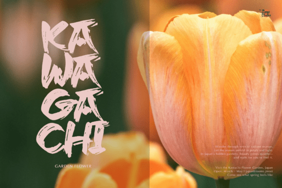 Jinsei Font PNG with transparent background - Preview 3