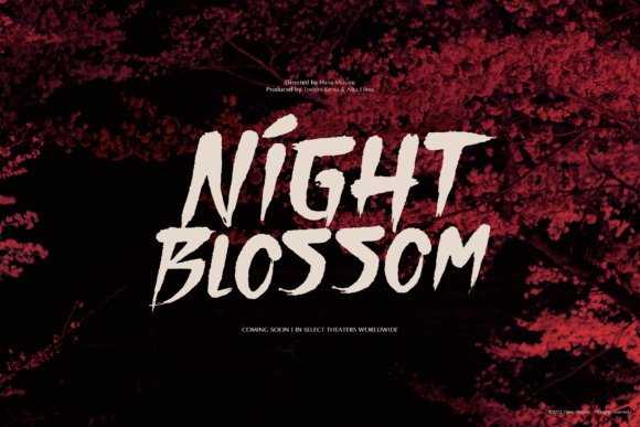Aomine Kensai Font - Preview 5