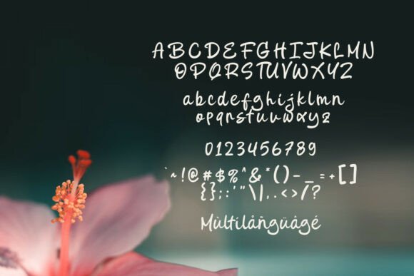 Bevagna Font PNG with transparent background - Preview 4