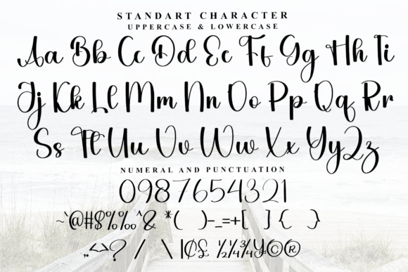 Bride Delightful Font - Preview 4