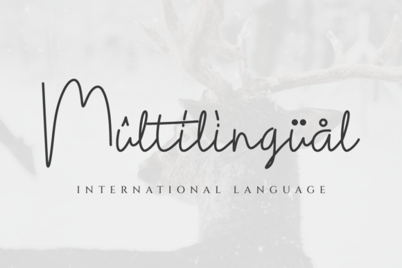 Cantika Font - Preview 2