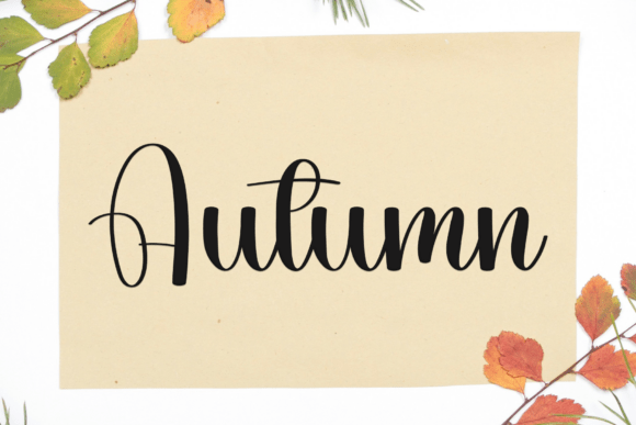 Cataline Signature Font - Preview 2
