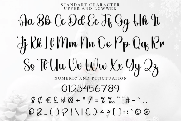 Cataline Signature Font - Preview 4