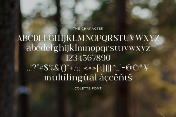 Colette Font - Preview 2