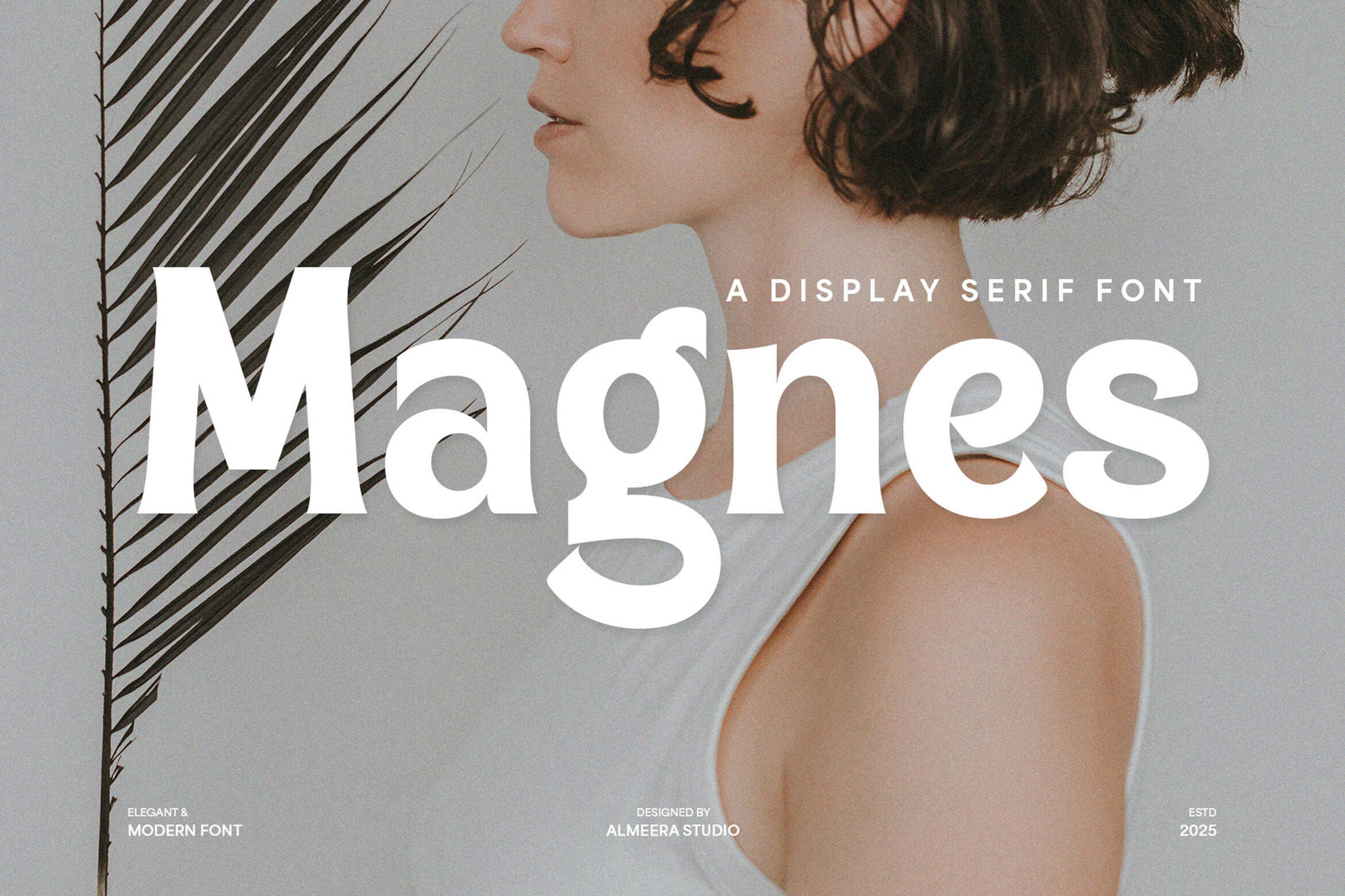 Magnes preview, display serif