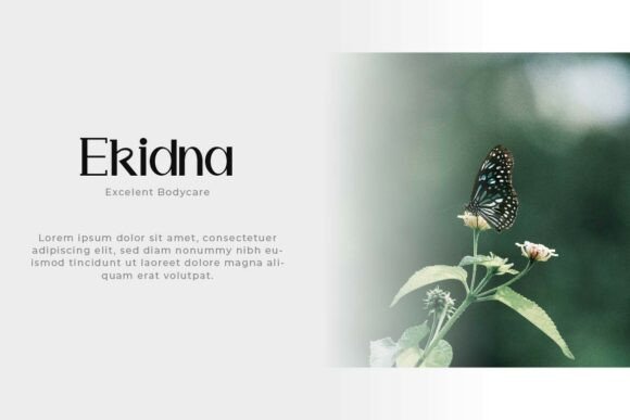 Nakata Font PNG with transparent background - Preview 4