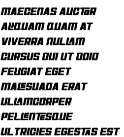 temoto-italic