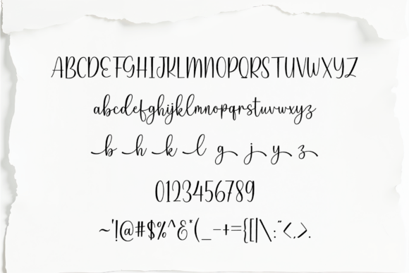 Biography Font - Preview 4