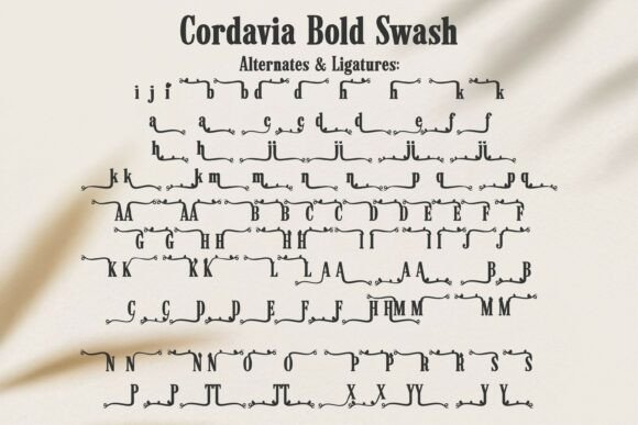 Cordavia Bold Swash Font - Preview 6