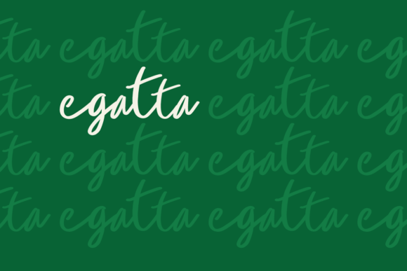 Egatta Font - Preview 4