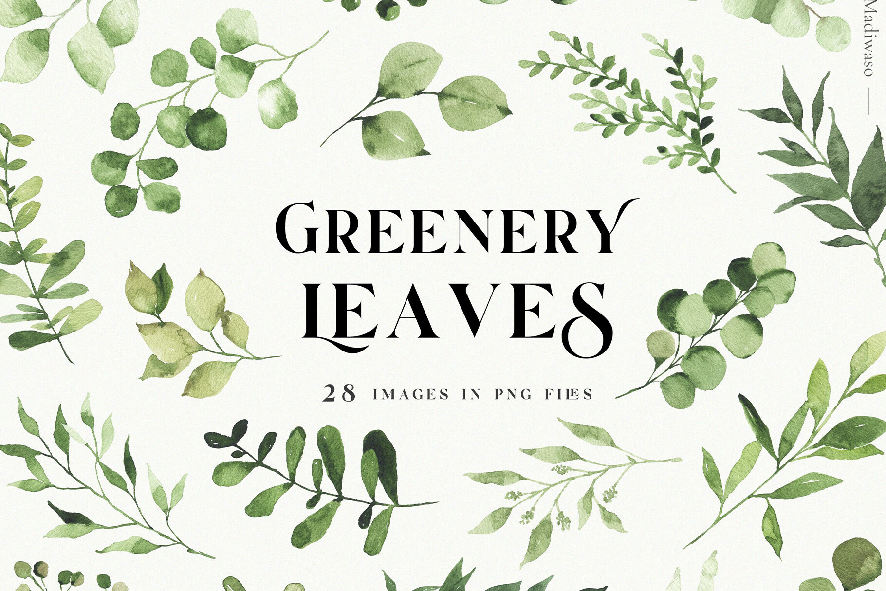 Green Leaves Watercolor Clipart Foliage