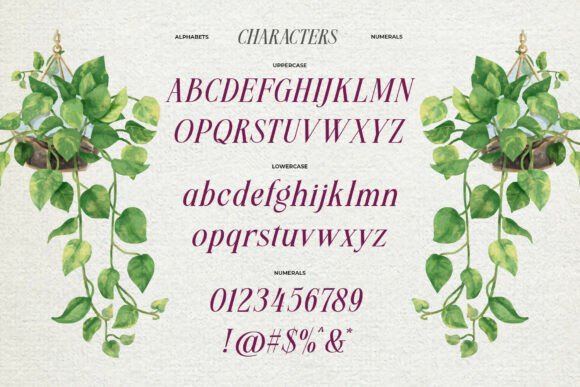 Meillona Font PNG with transparent background - Preview 5