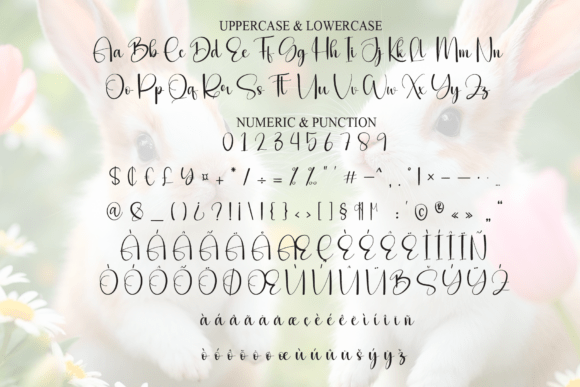 Bunnythick Font - Preview 6