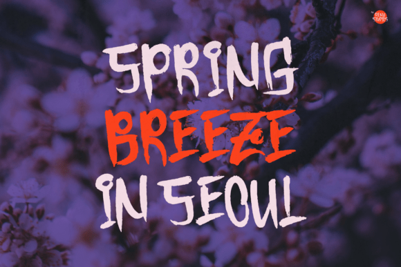 Baenim Font - Preview 1