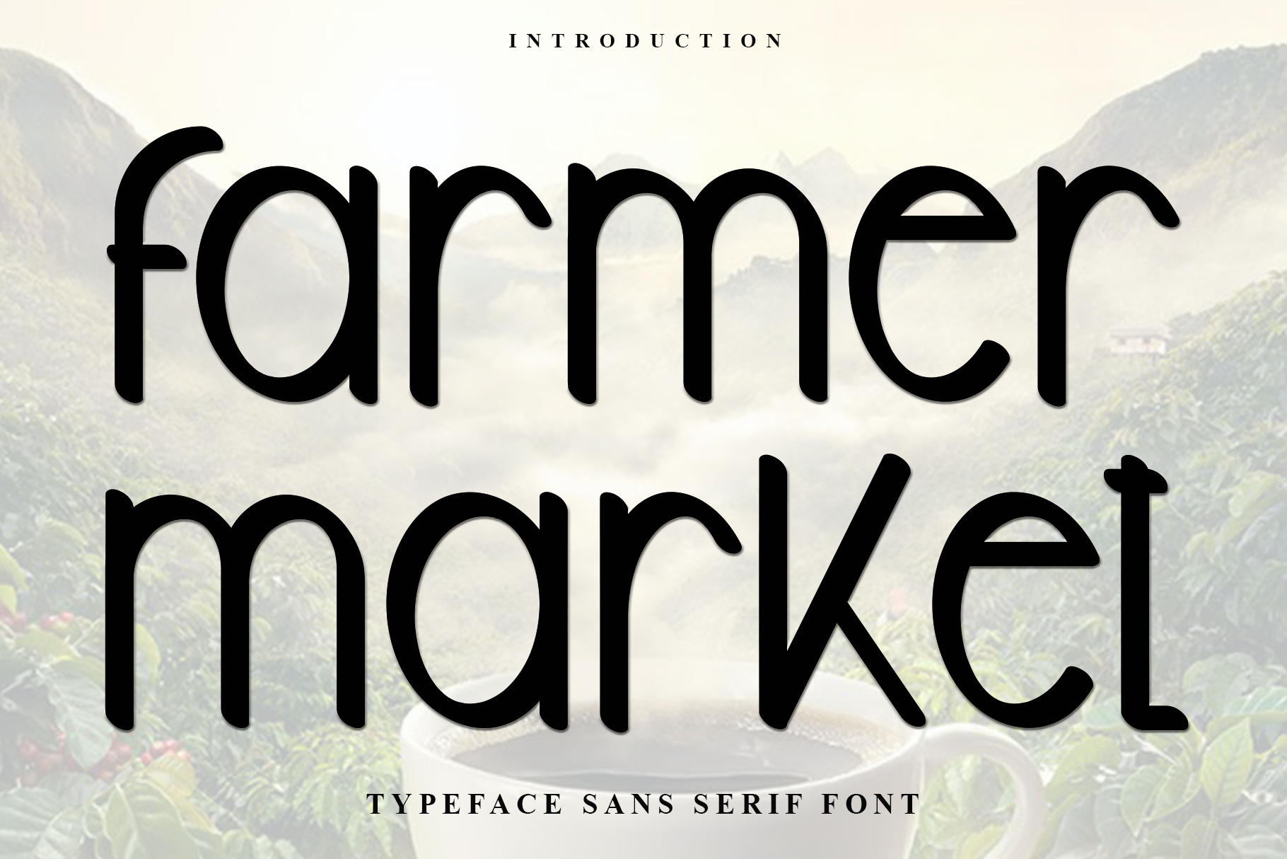 Farmer Market packaging font preview