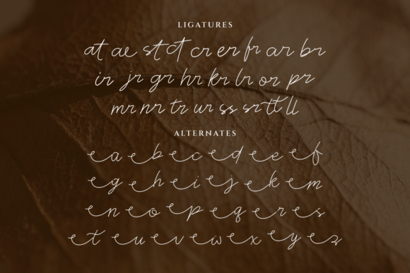 Giselle Font - Preview 3