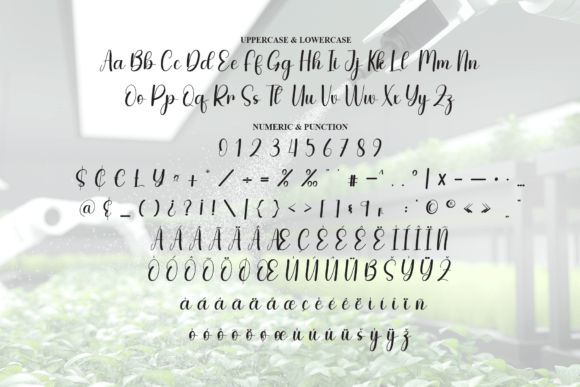 Autogrow Font - Preview 6