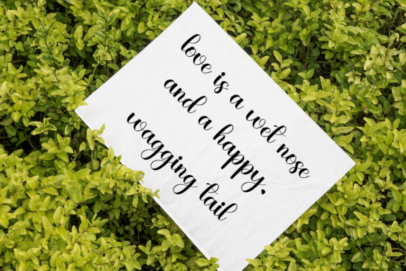Chasing Hearts Font - Preview 3