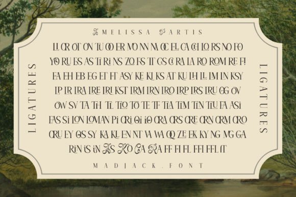 Amelissa Partis Font - Preview 4