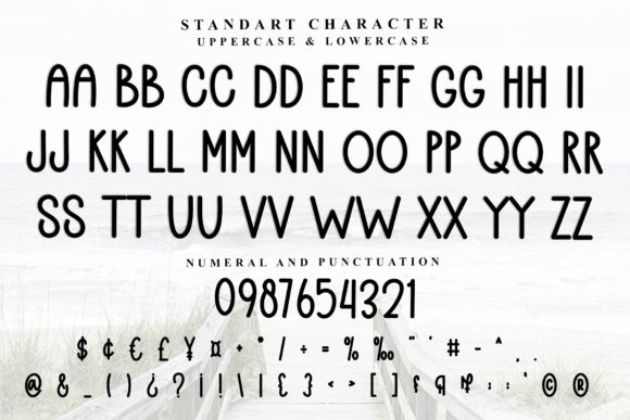 Creative Script Font - Preview 3
