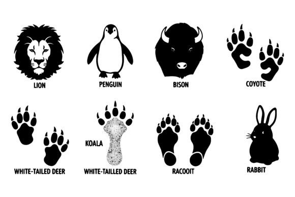 Lion Penguin Bison Coyote Koala Rabbit P