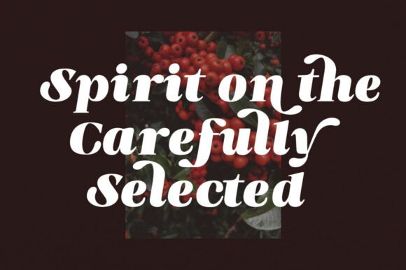 Blish Gham Font - Preview 6