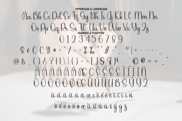 Calligraphy Font - Preview 6