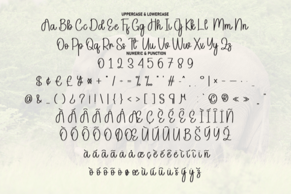 Elephant Font - Preview 6
