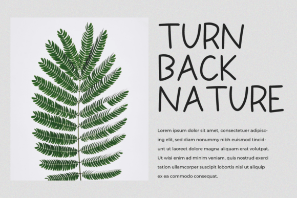 Fondy Font PNG with transparent background - Preview 4