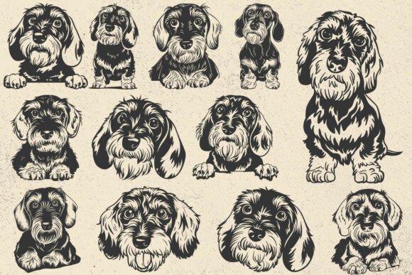 Wirehaired Dachshund Svg, Dog Cricut