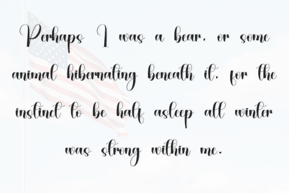 America Font - Preview 3