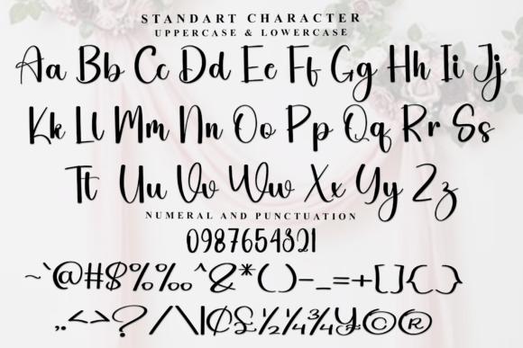 Brilliant Calligraphy Font - Preview 4