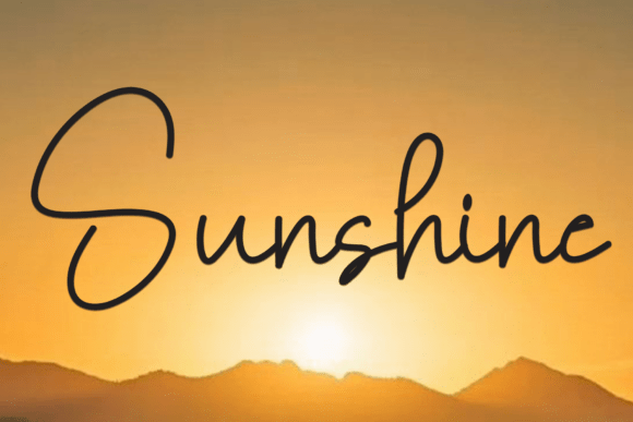 Collection Signature Font - Preview 5