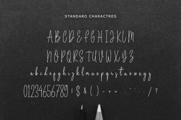 Elegant Classic Signature Font - Preview 4
