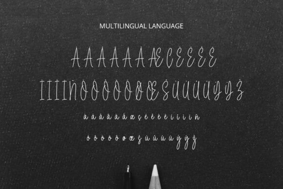 Elegant Classic Signature Font - Preview 5
