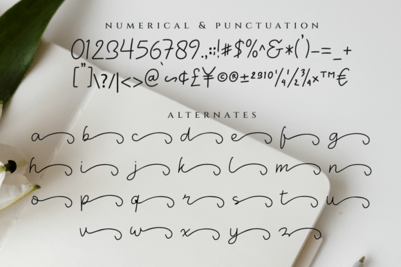 Necano Font PNG with transparent background - Preview 2