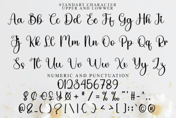 Abigail Font - Preview 3