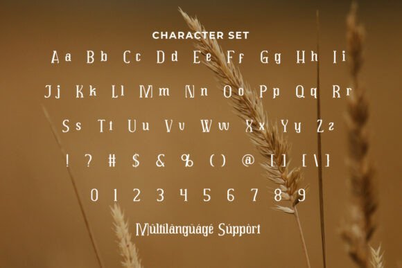 Euronalist Font - Preview 5