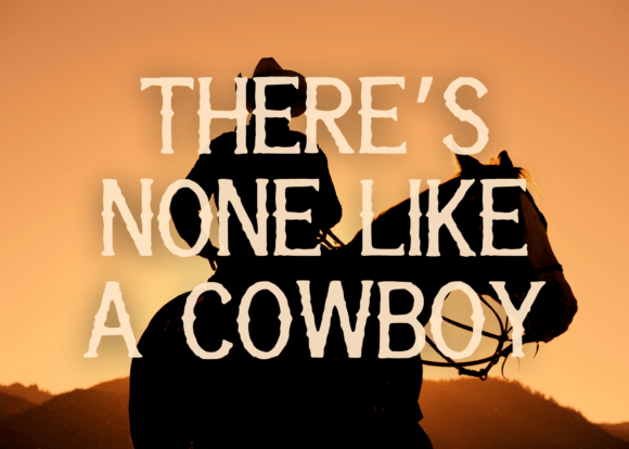 Dodge City Dust Font - Preview 4