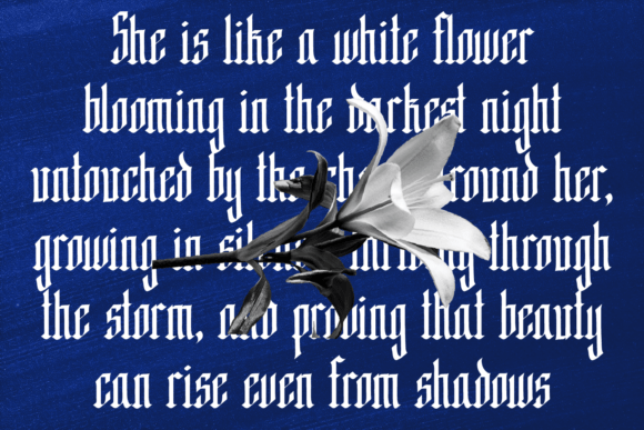 Hagevra Font - Preview 3
