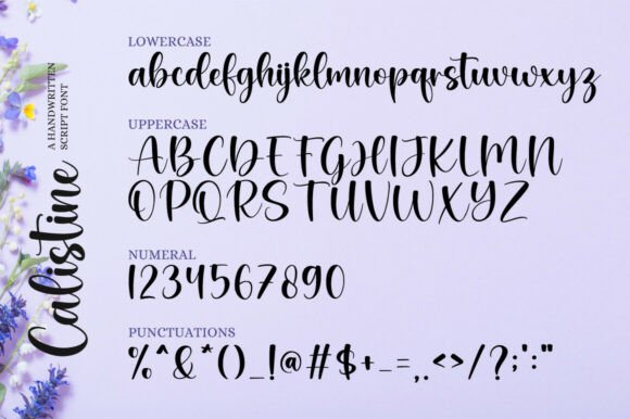 Calistine Font - Preview 6