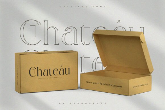 Galviane Font - Preview 5